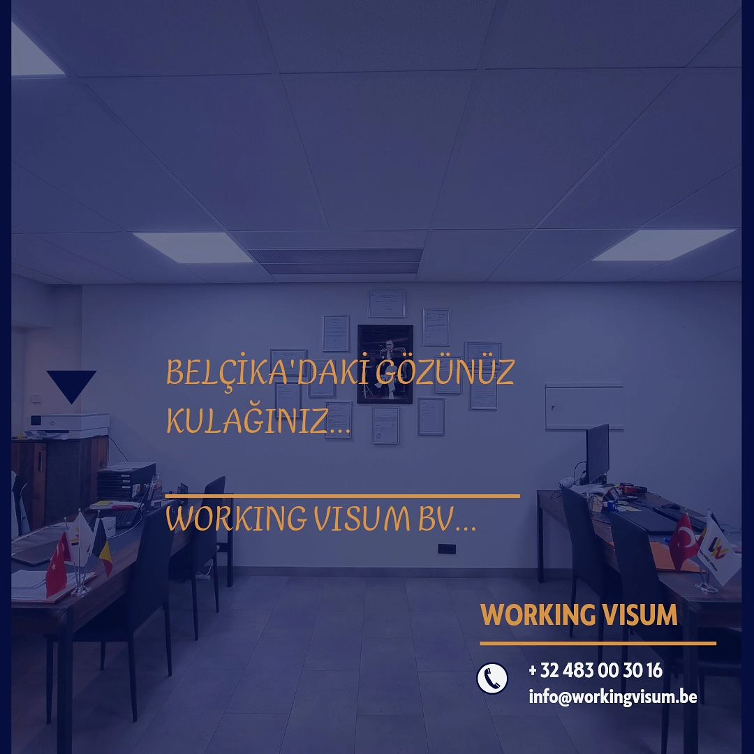 WorkingVisum
